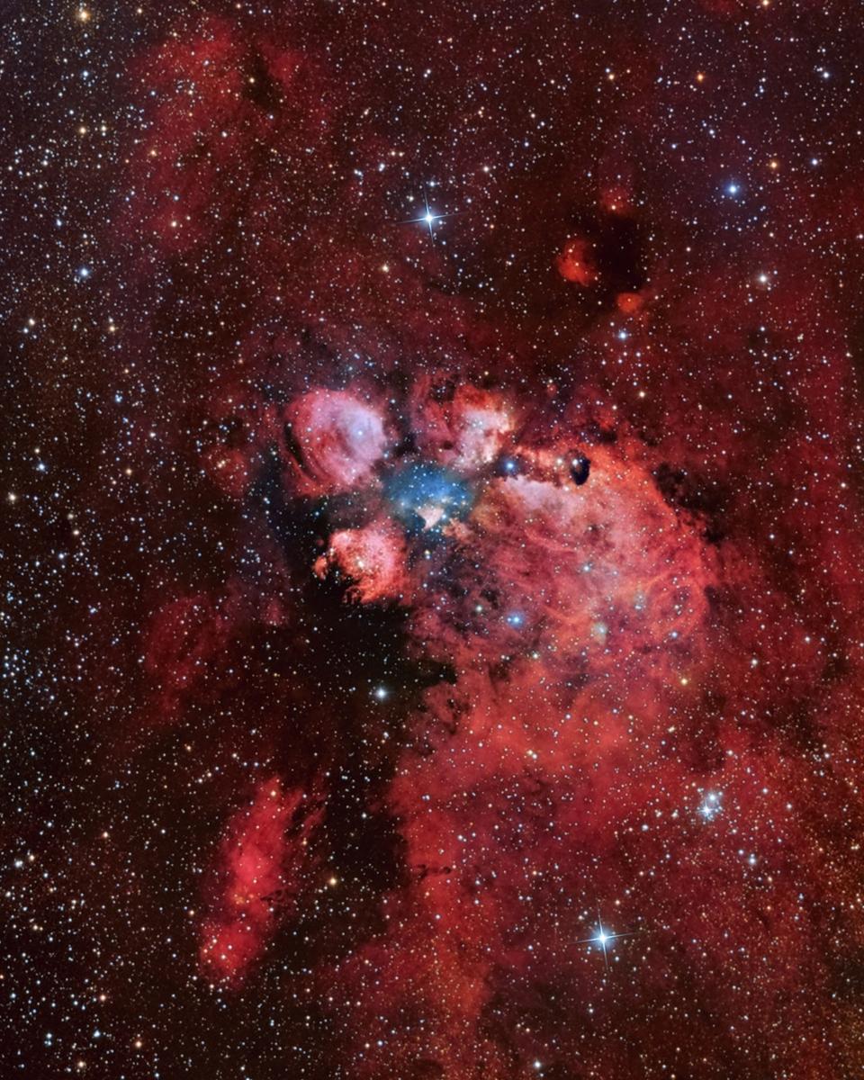 NGC 6334: The Cat's Paw Nebula