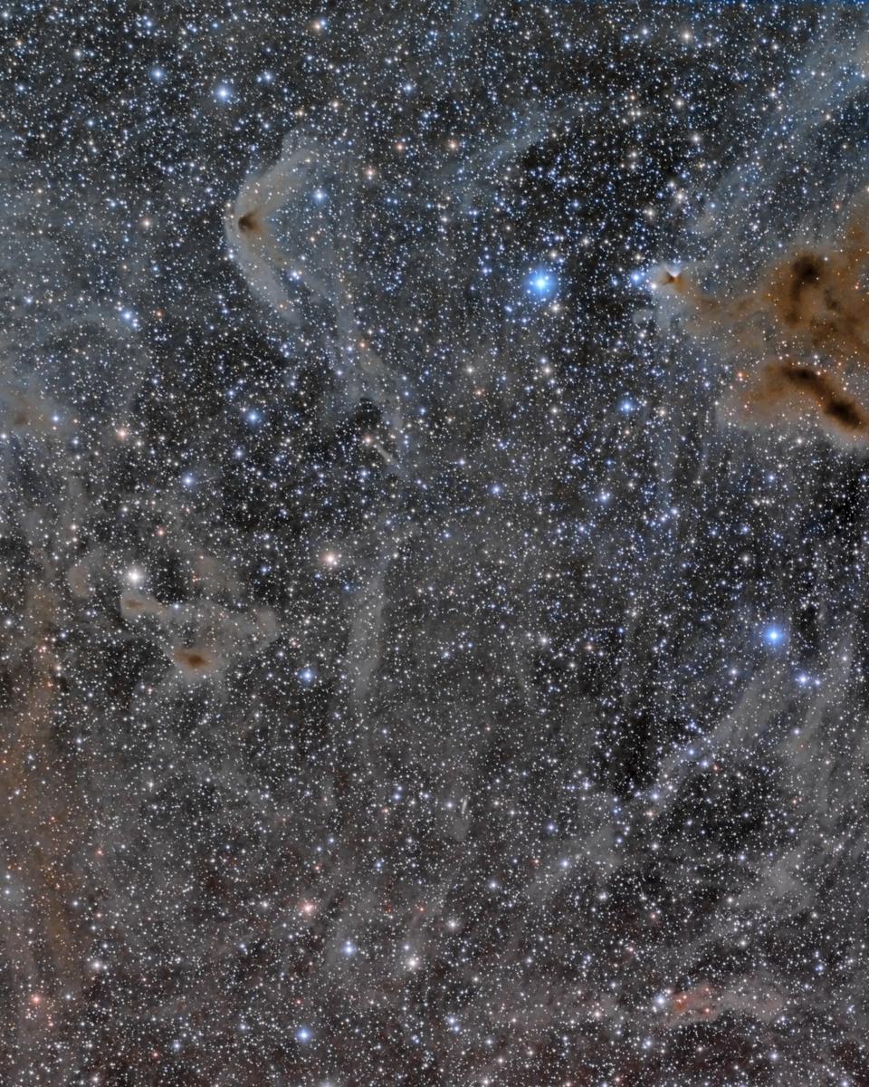 The Iris Nebula in a Field of Dust