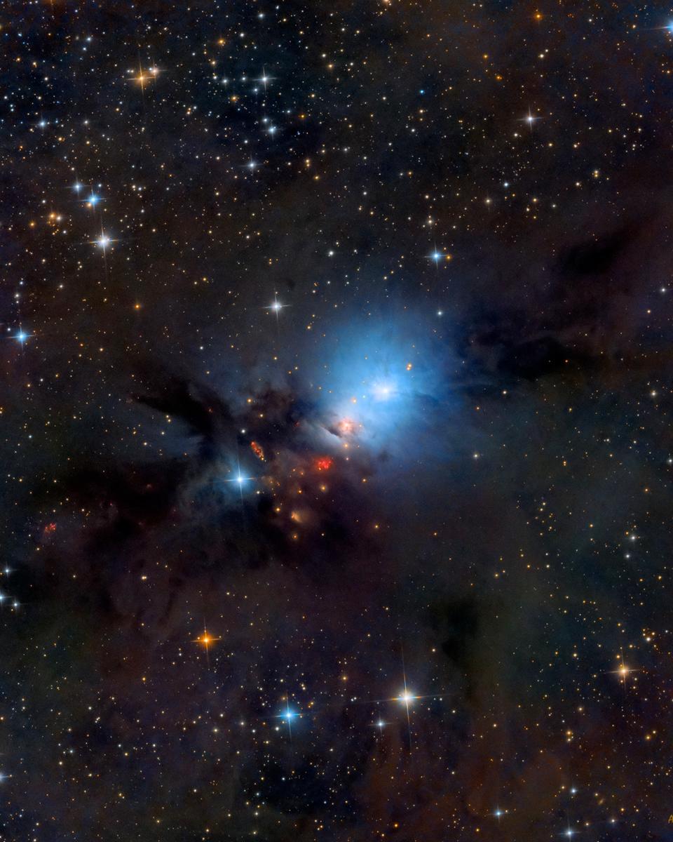 NGC 1333 Stardust