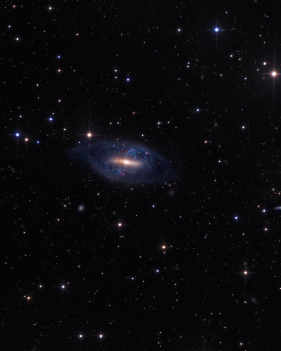 Polar Ring Galaxy NGC 2685