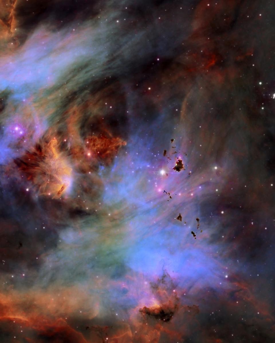 Globules in the Running Chicken Nebula