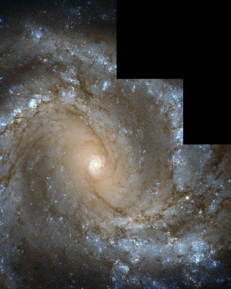 In the Center of Spiral Galaxy M61