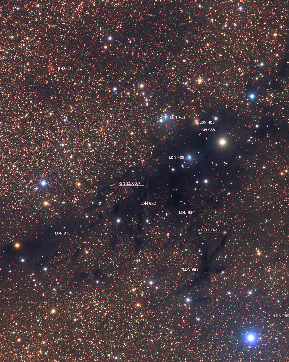 LDN 988: Dark Nebula in Cygnus