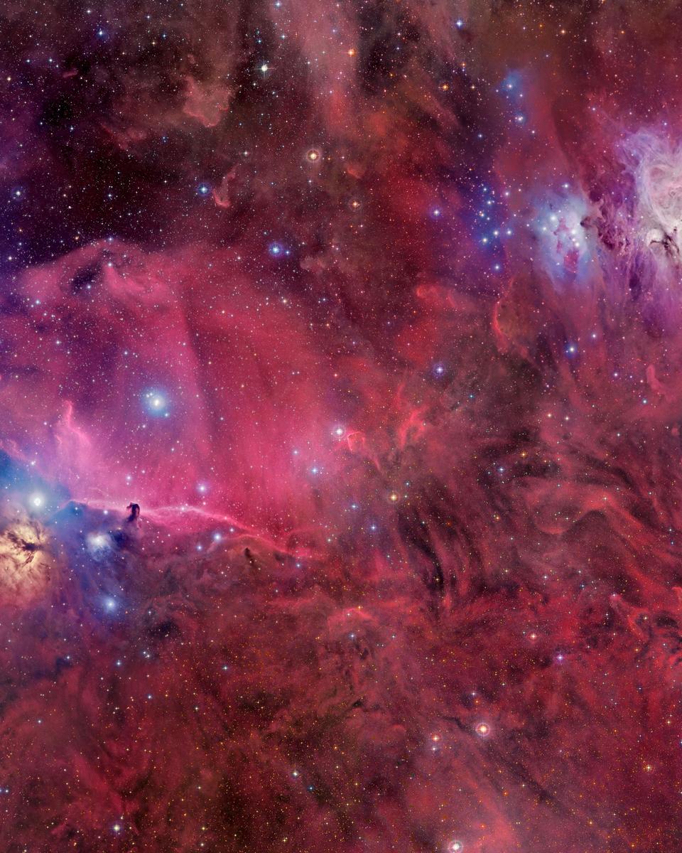 Orion in Gas, Dust, and Stars