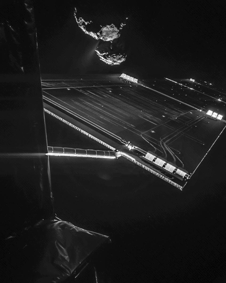 Rosetta's Selfie