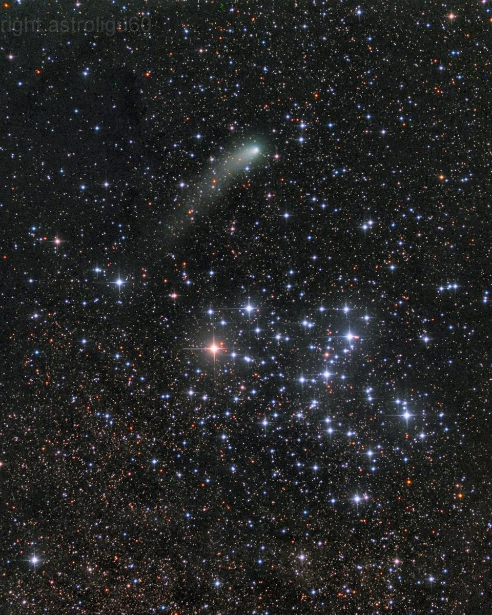 Messier 6 and Comet Siding Spring