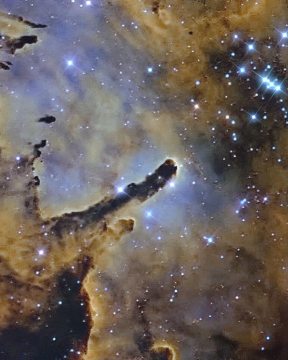 NGC 6823: Cloud Sculpting Star Cluster