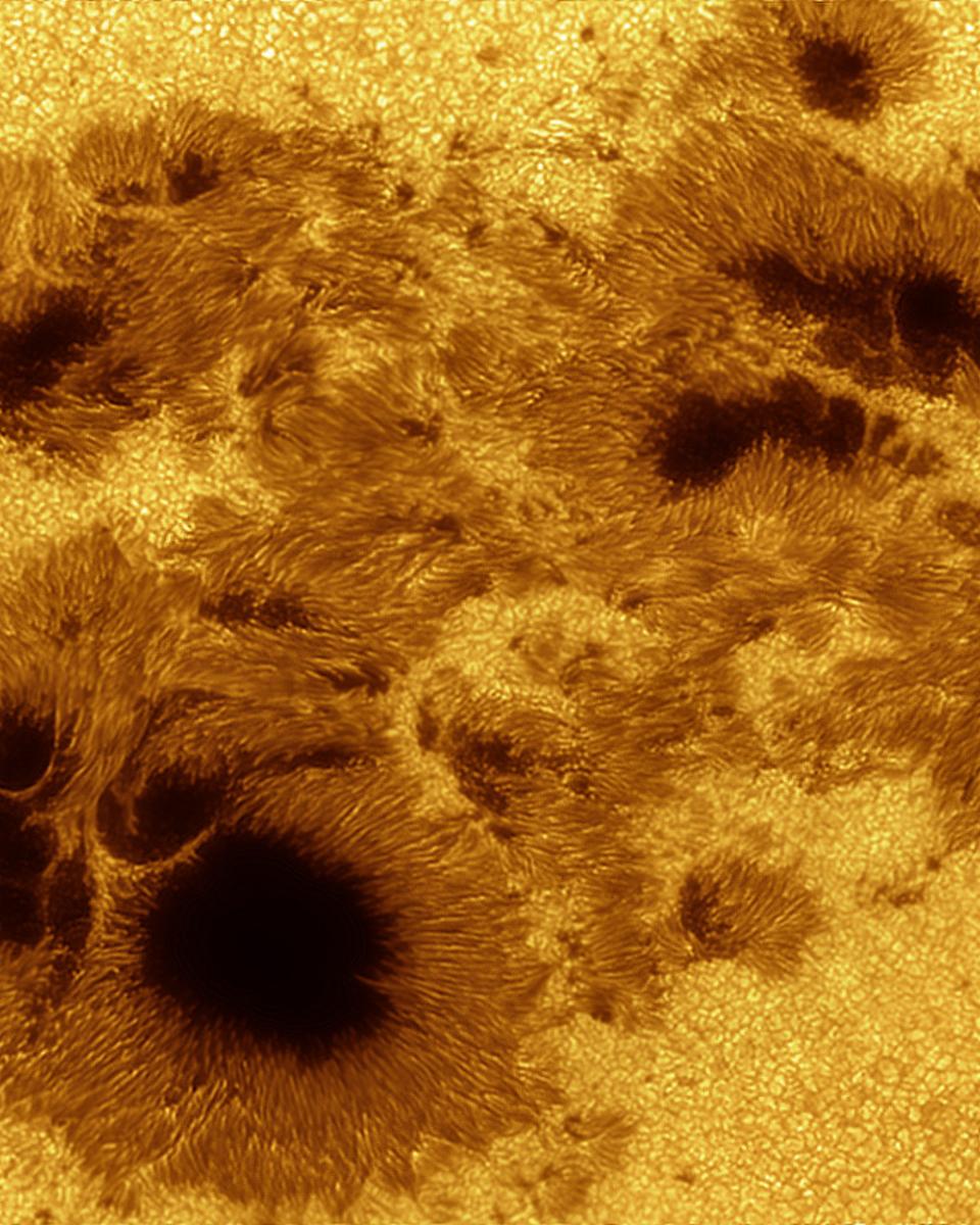 AR 2192: Giant on the Sun