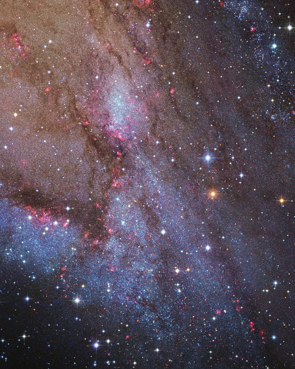 NGC 206 and the Star Clouds of Andromeda