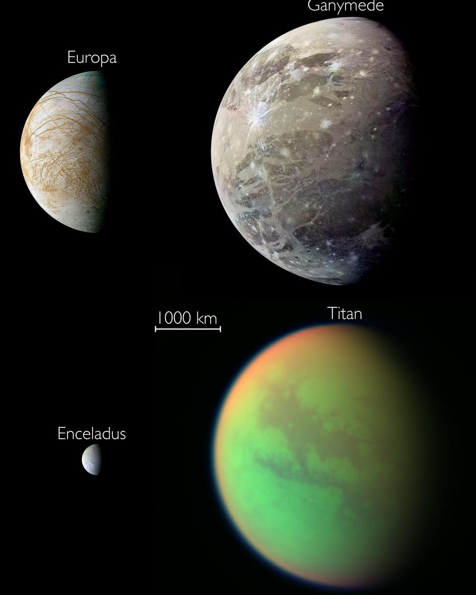 Potentially Habitable Moons