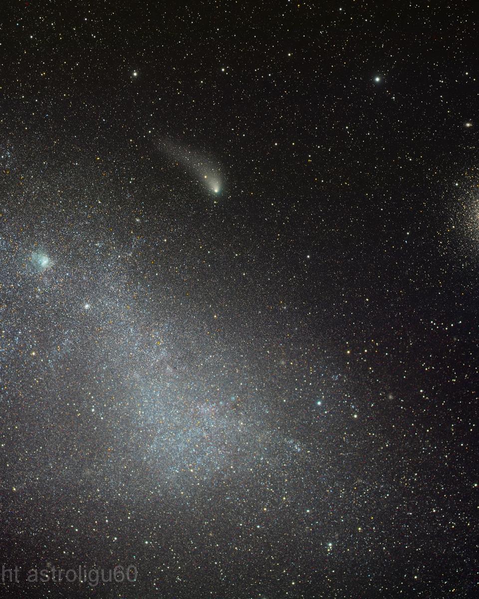 Cloud, Clusters and Comet Siding Spring