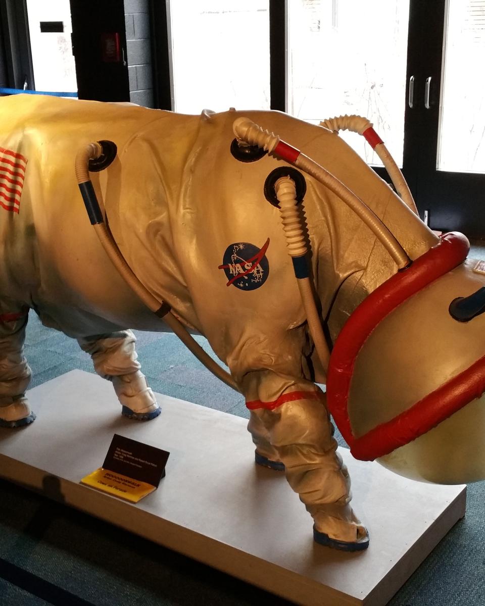 Suiting Up for the Moon