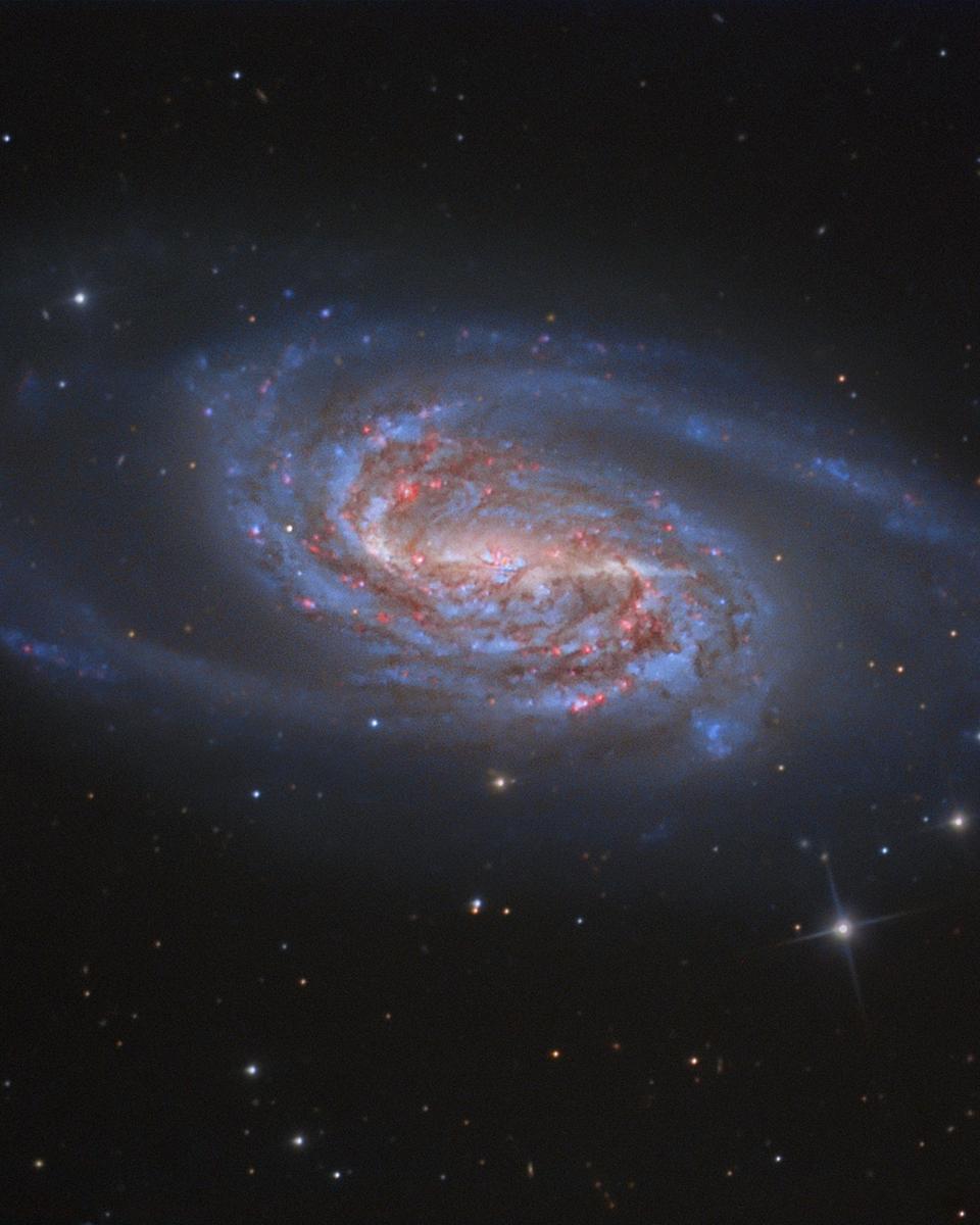 NGC 2903: A Missing Jewel in Leo