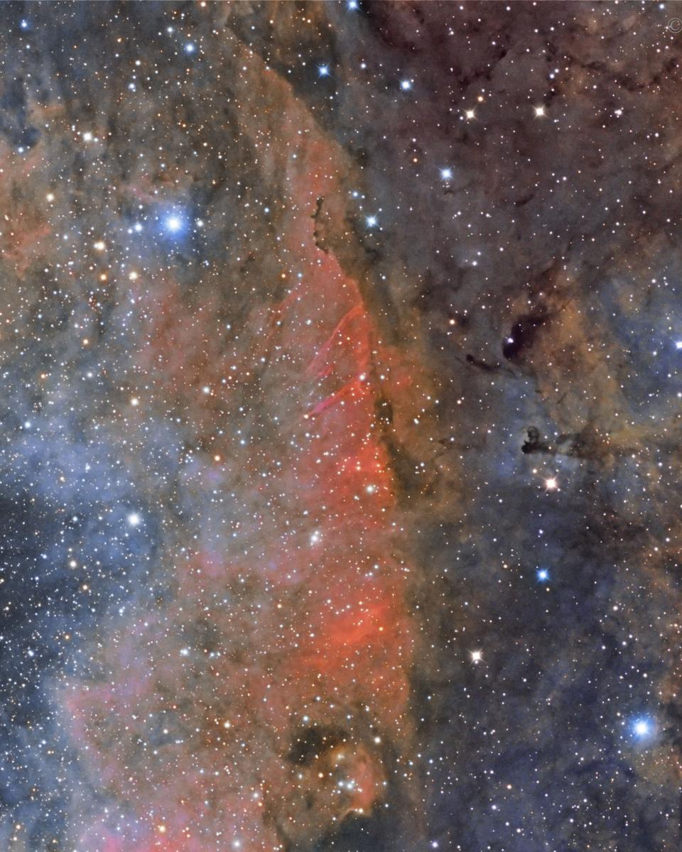 Colorful Star Clouds in Cygnus