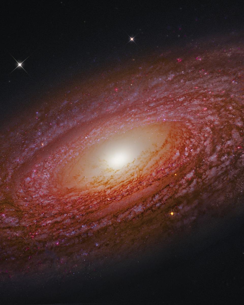 Massive Nearby Spiral Galaxy NGC 2841