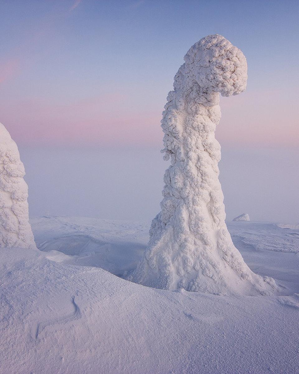 Sentinels of the Arctic
