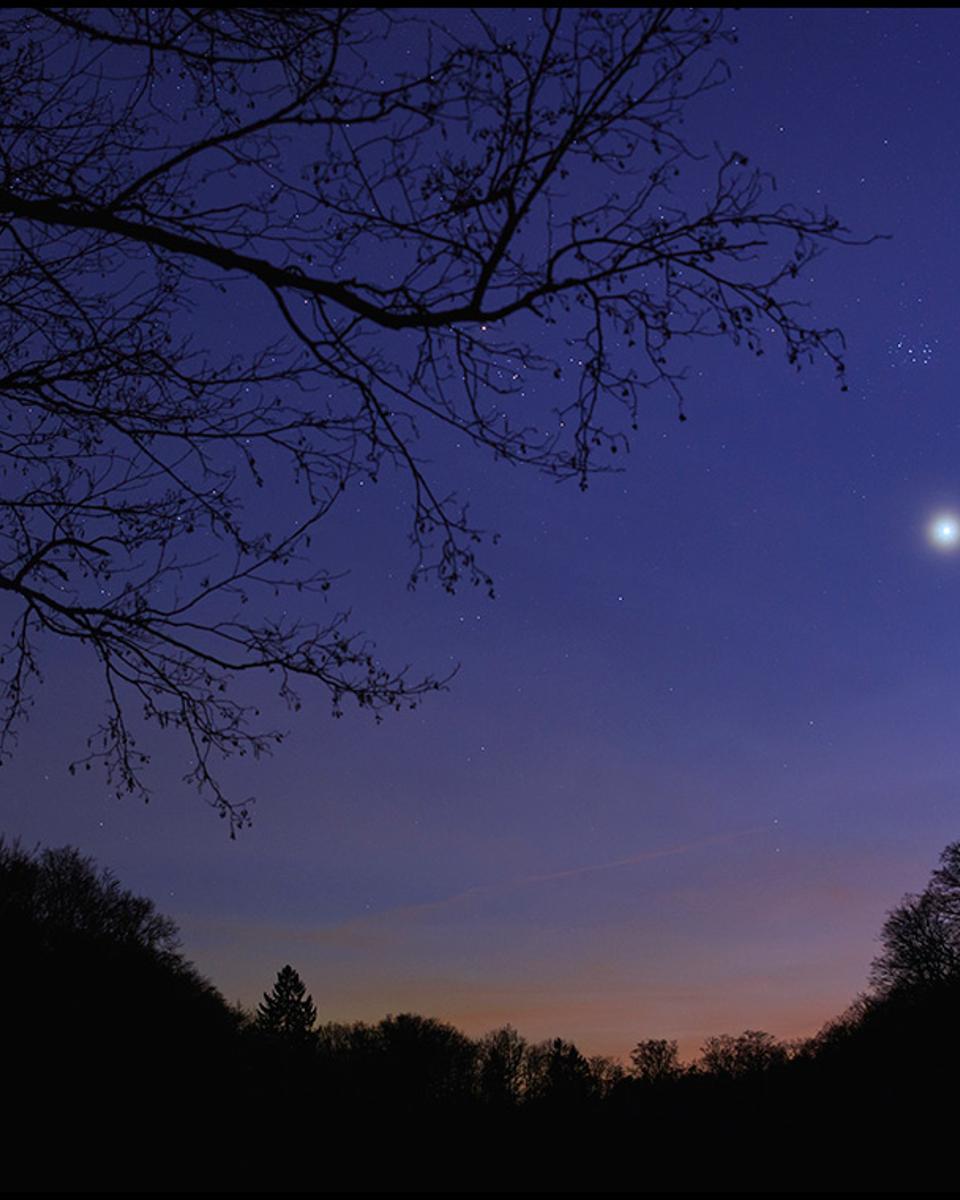 Venus in the West