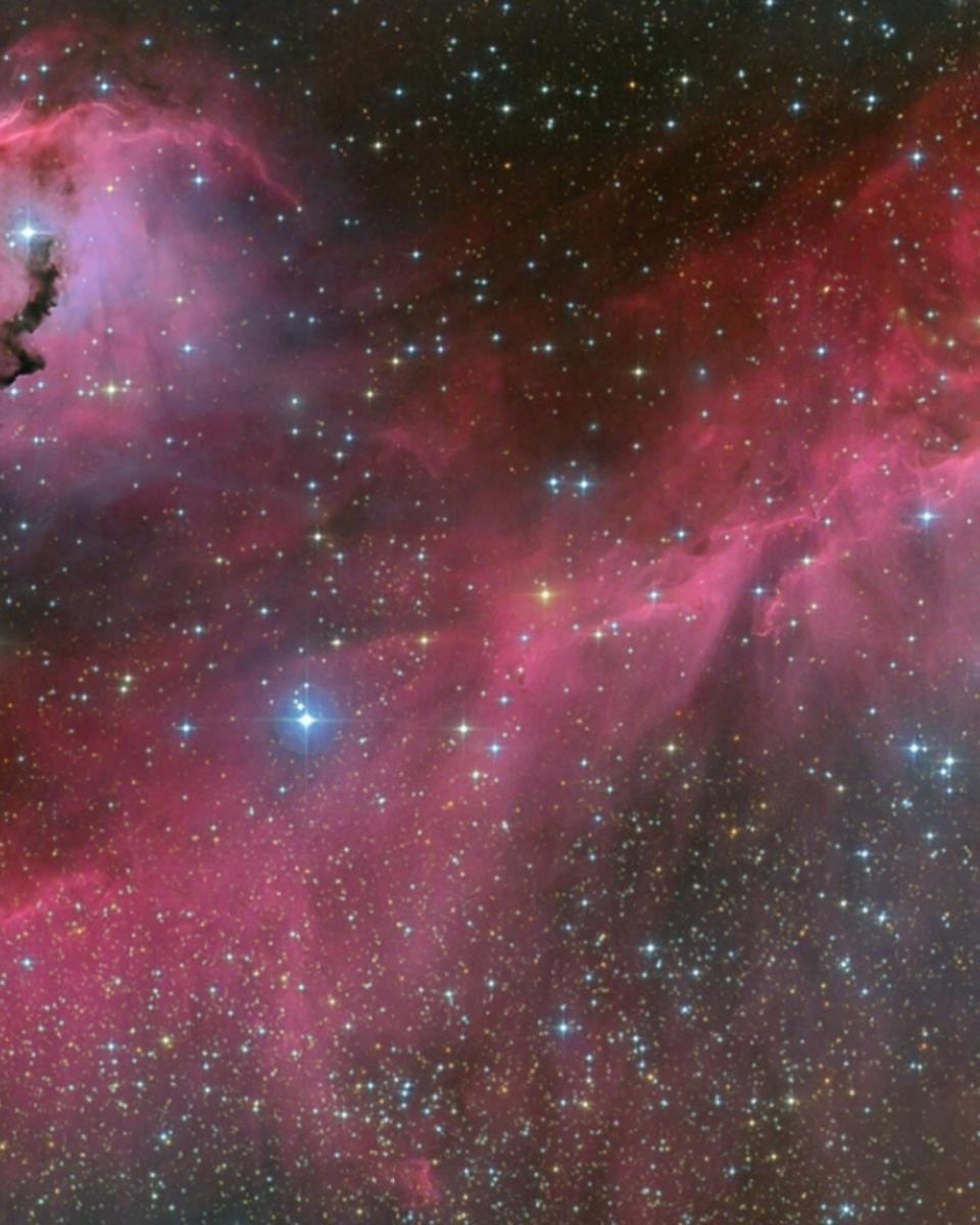 The Seagull Nebula