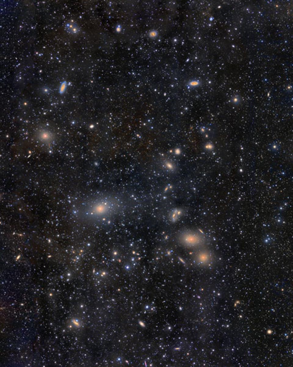 Virgo Cluster Galaxies