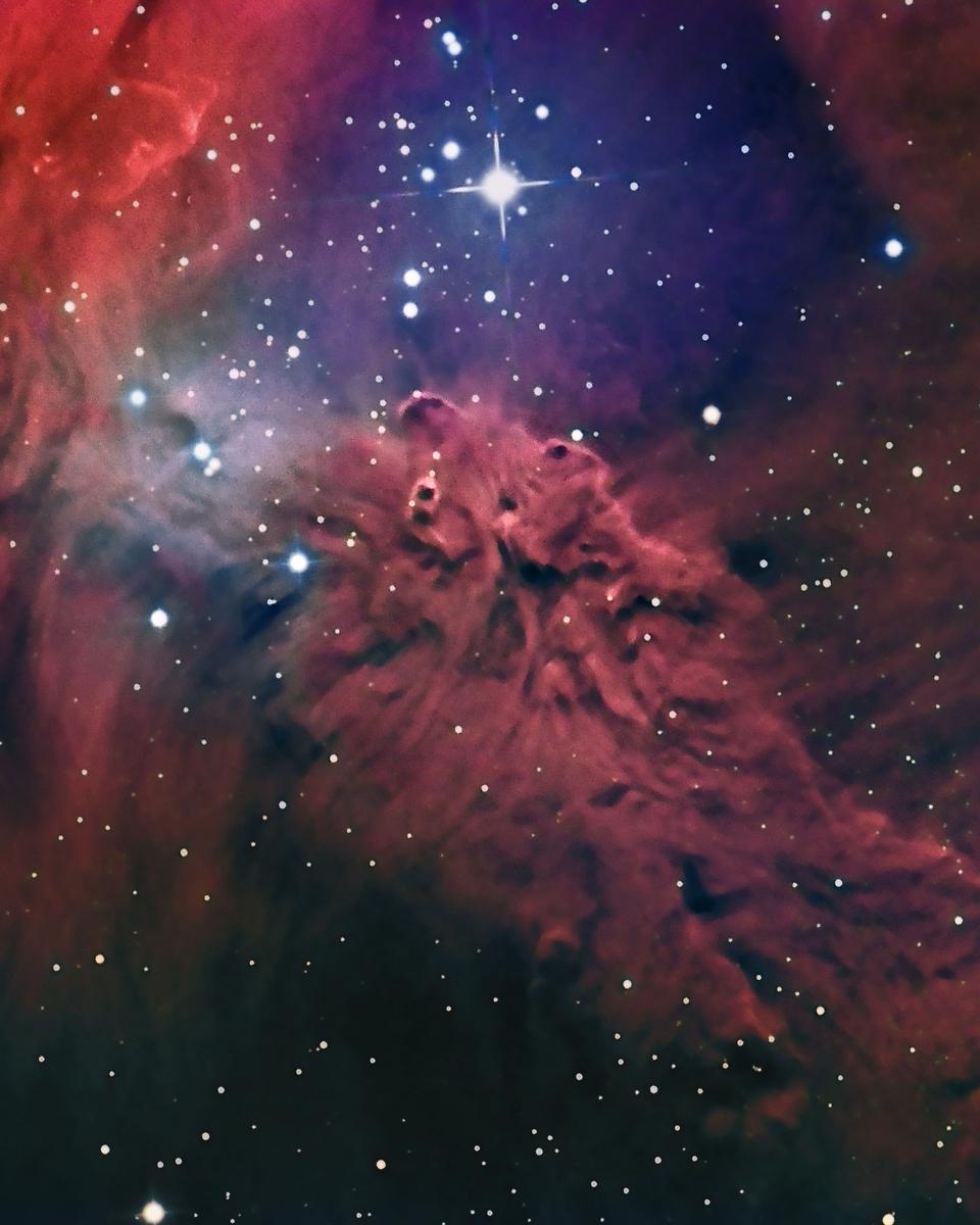 The Fox Fur Nebula