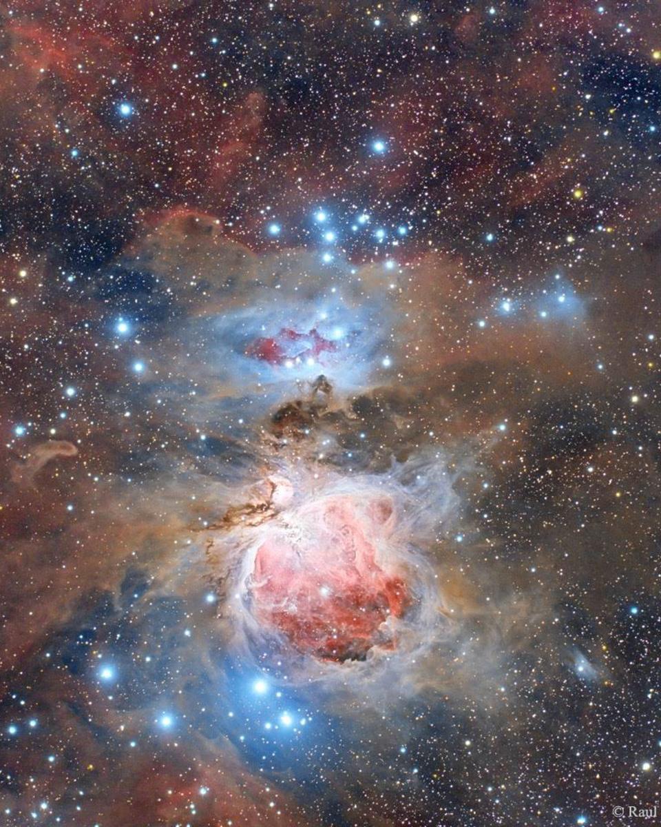 Dust of the Orion Nebula