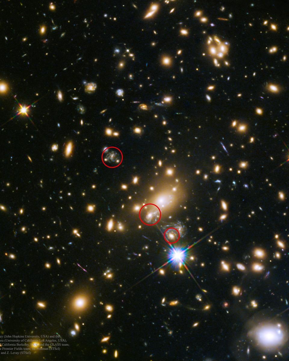 SN Refsdal: The First Predicted Supernova Image