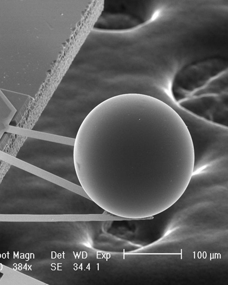 A Force from Empty Space: The Casimir Effect