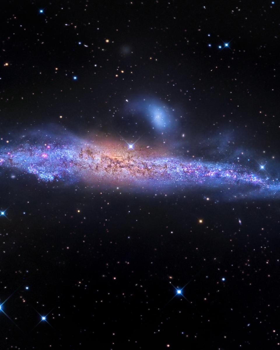 Star Streams and the Whale Galaxy