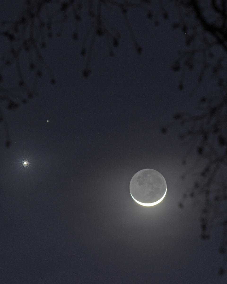 Love and War by Moonlight