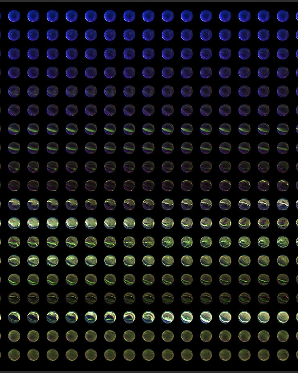 An Aurora of Marbles