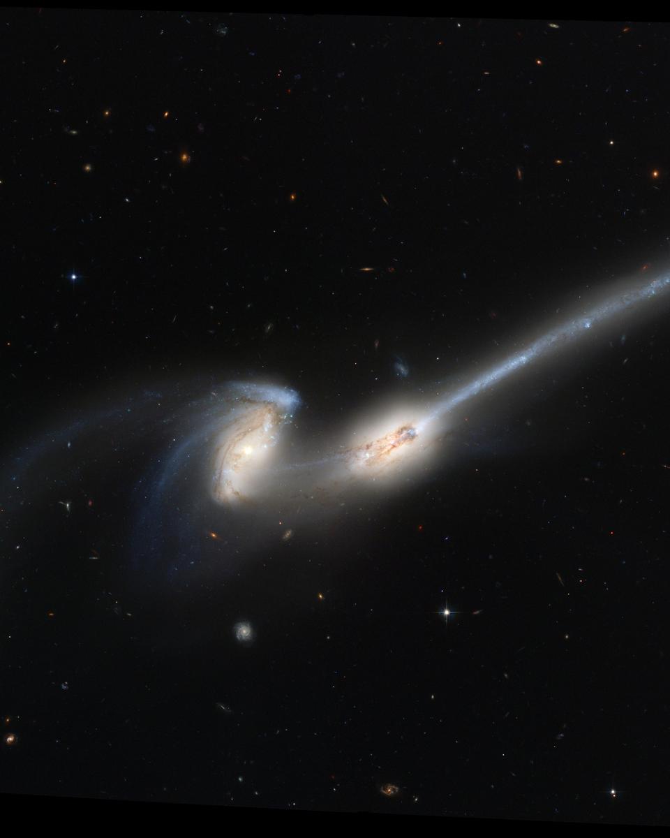 NGC 4676: When Mice Collide