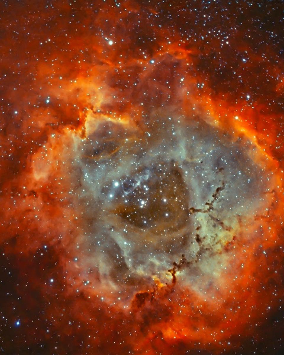The Rosette Nebula in Hydrogen and Oxygen