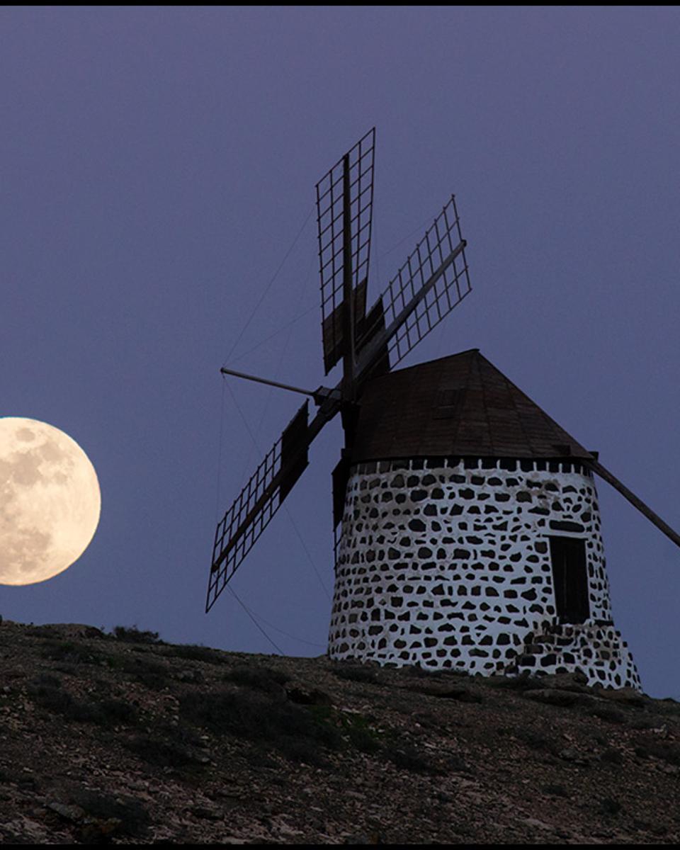 The Windmill's Moon