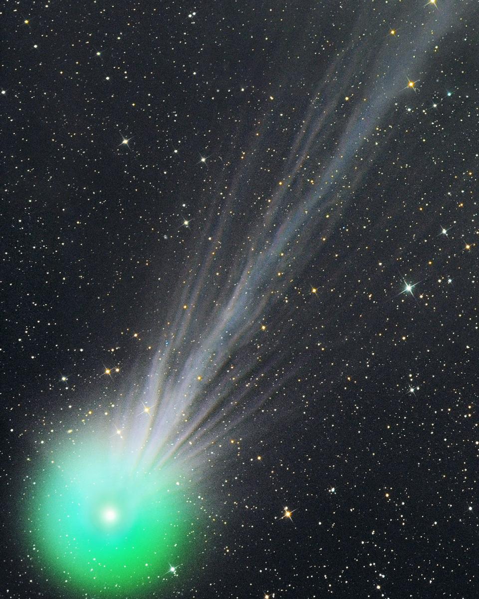 The Complex Ion Tail of Comet Lovejoy