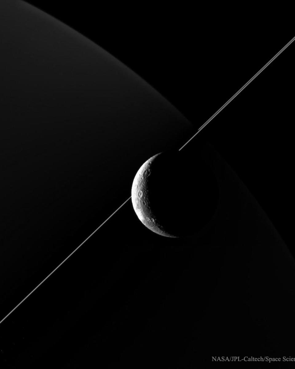 In the Company of Dione