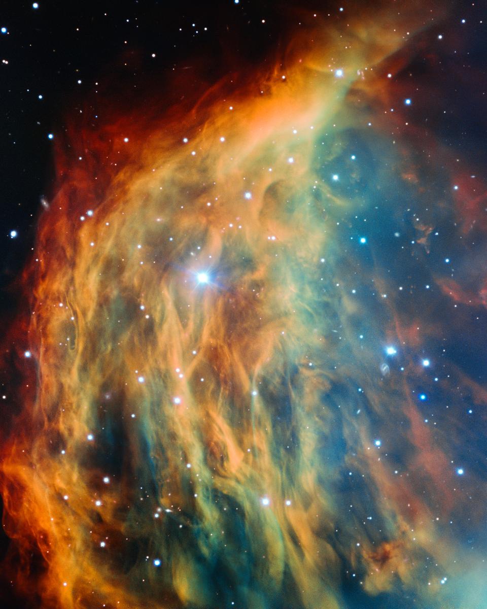 The Medusa Nebula