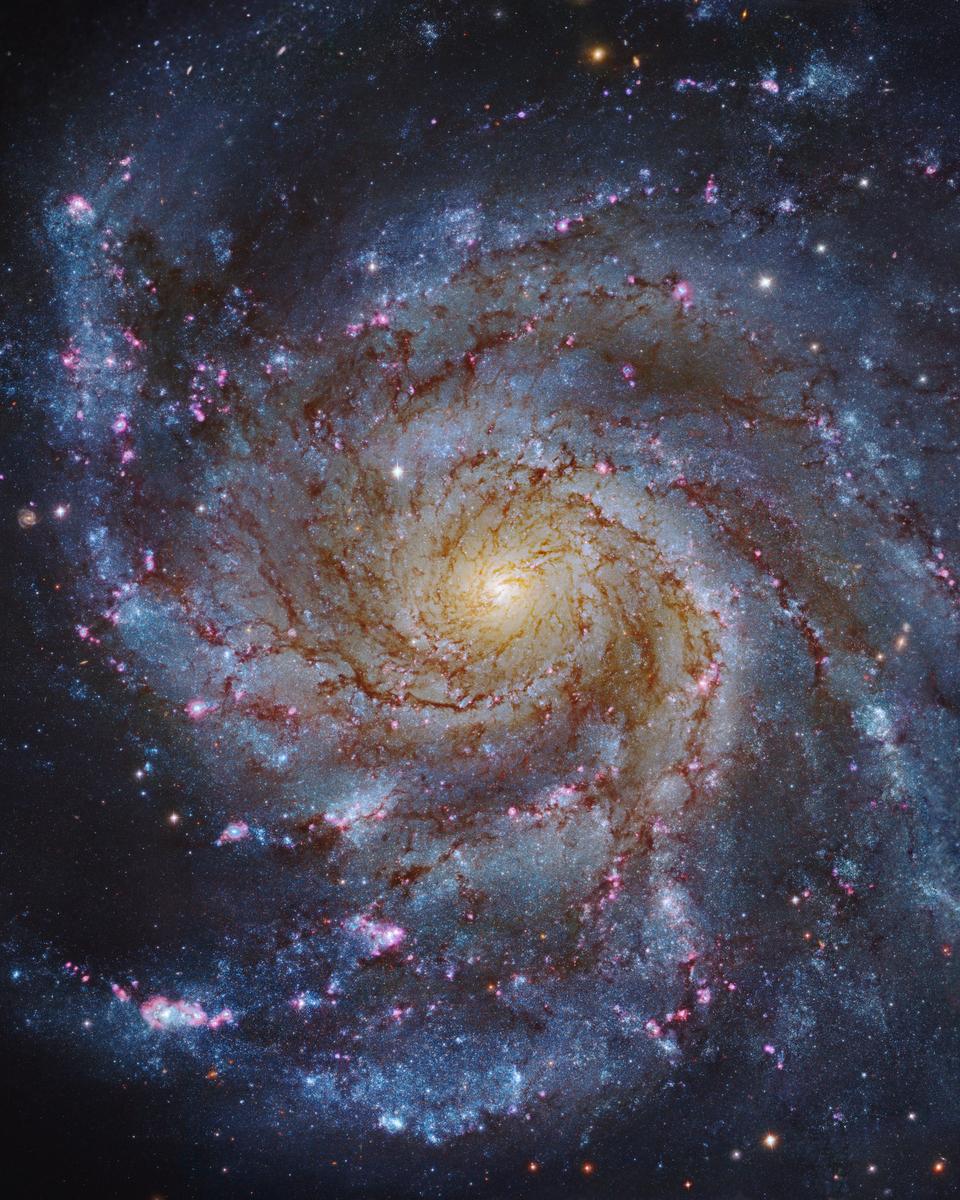 M101: The Pinwheel Galaxy