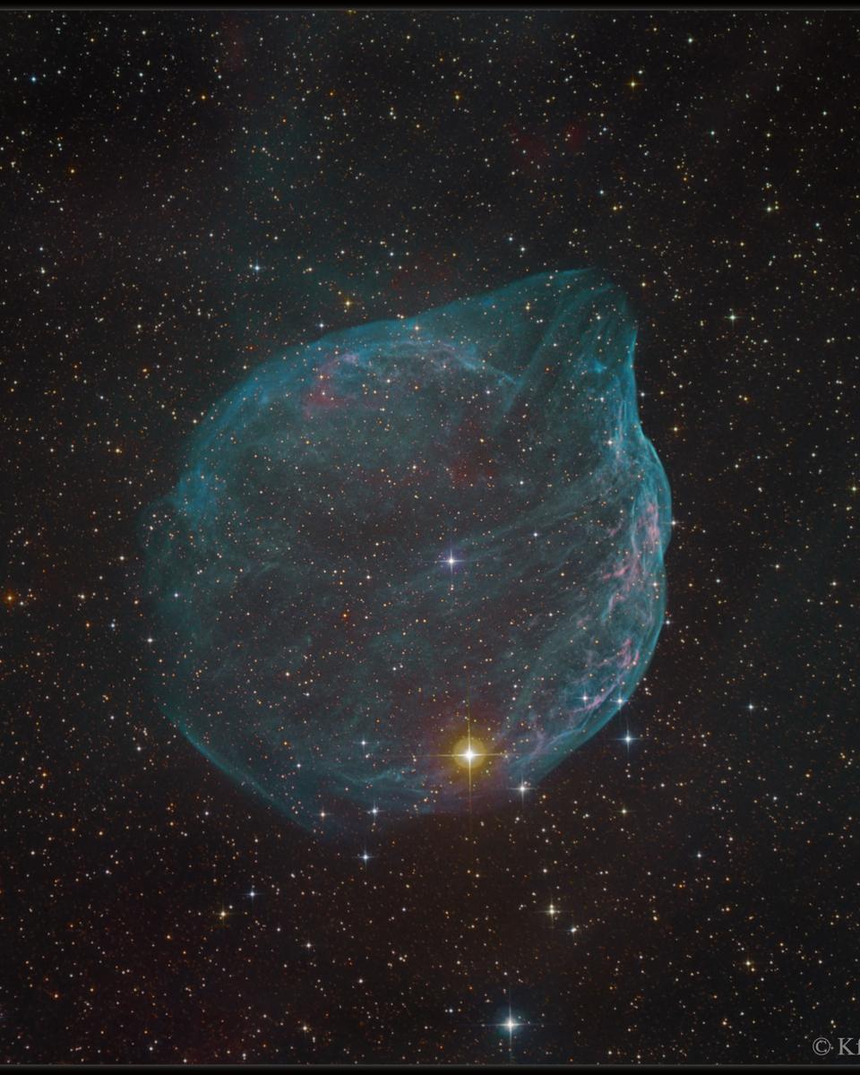 Sharpless 308: Star Bubble