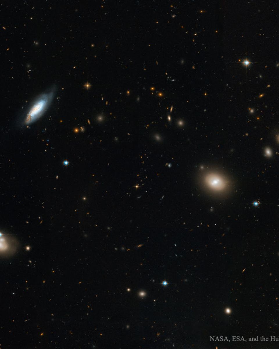 Inside the Coma Cluster of Galaxies
