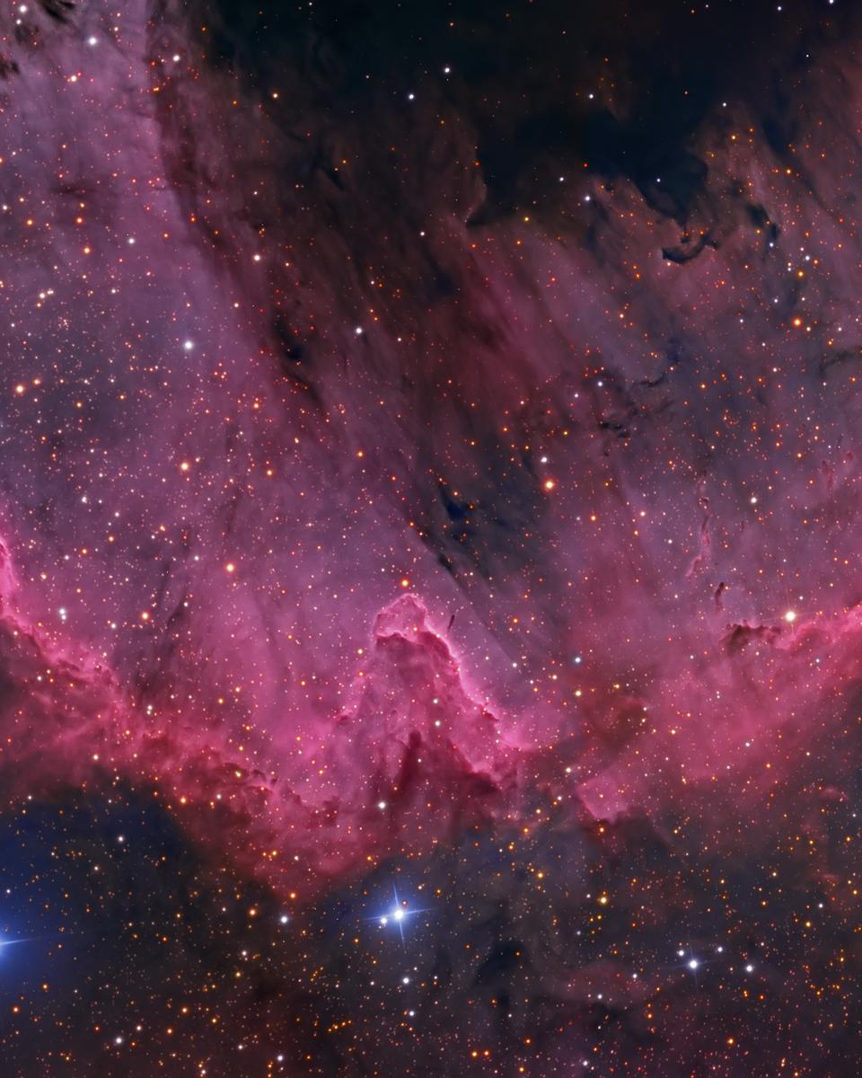 Along the Cygnus Wall