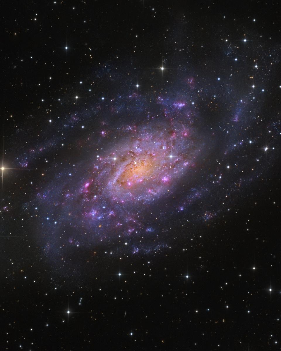 NGC 2403 in Camelopardalis