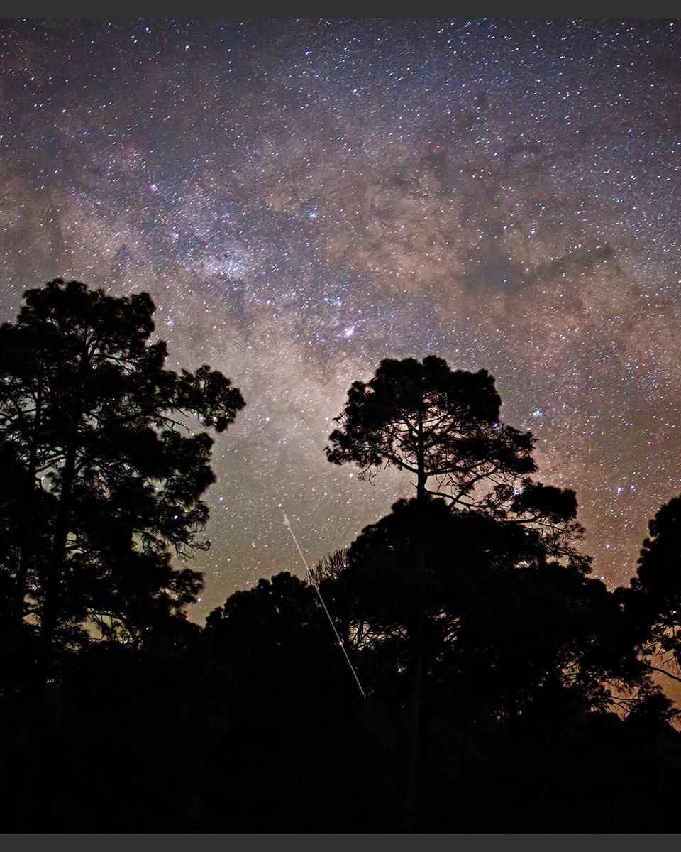 Naked Eye Nova Sagittarii 2015 No. 2