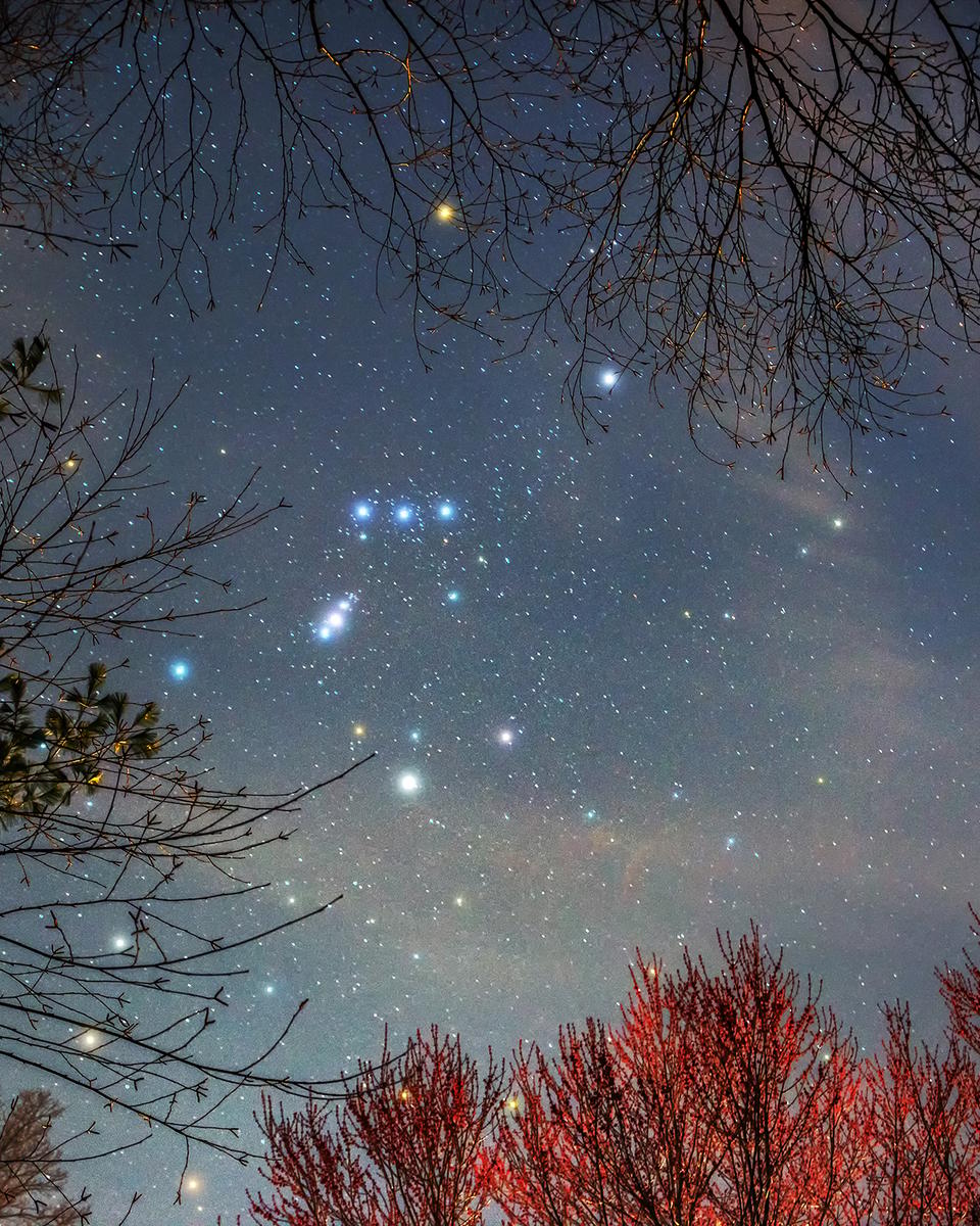 Orion Spring