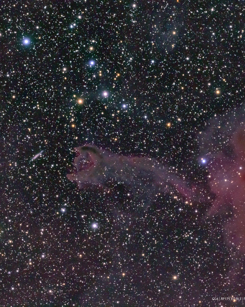 Cometary Globule CG4