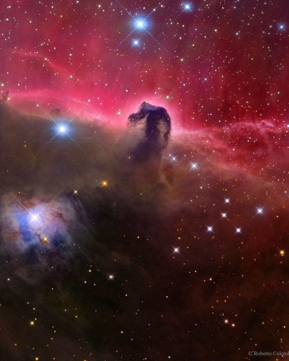 The Magnificent Horsehead Nebula