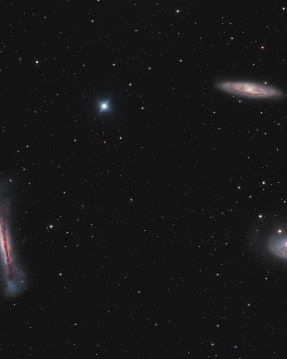 Trio Leo