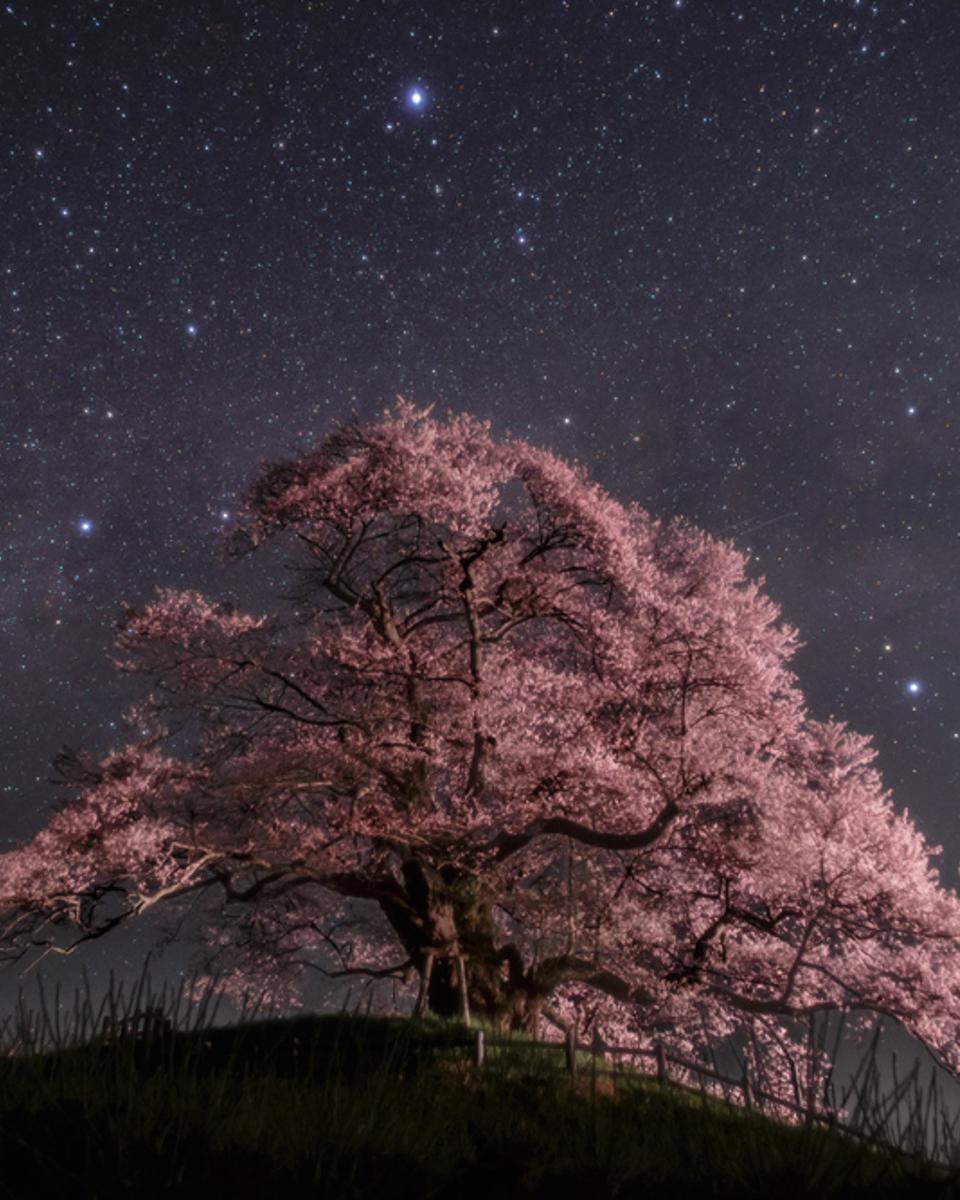 Summer Triangles over Japan