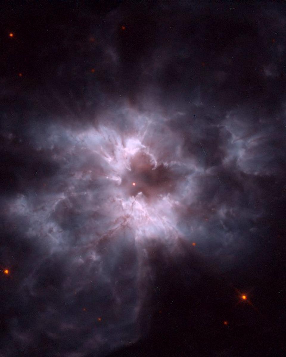NGC 2440: Pearl of a New White Dwarf