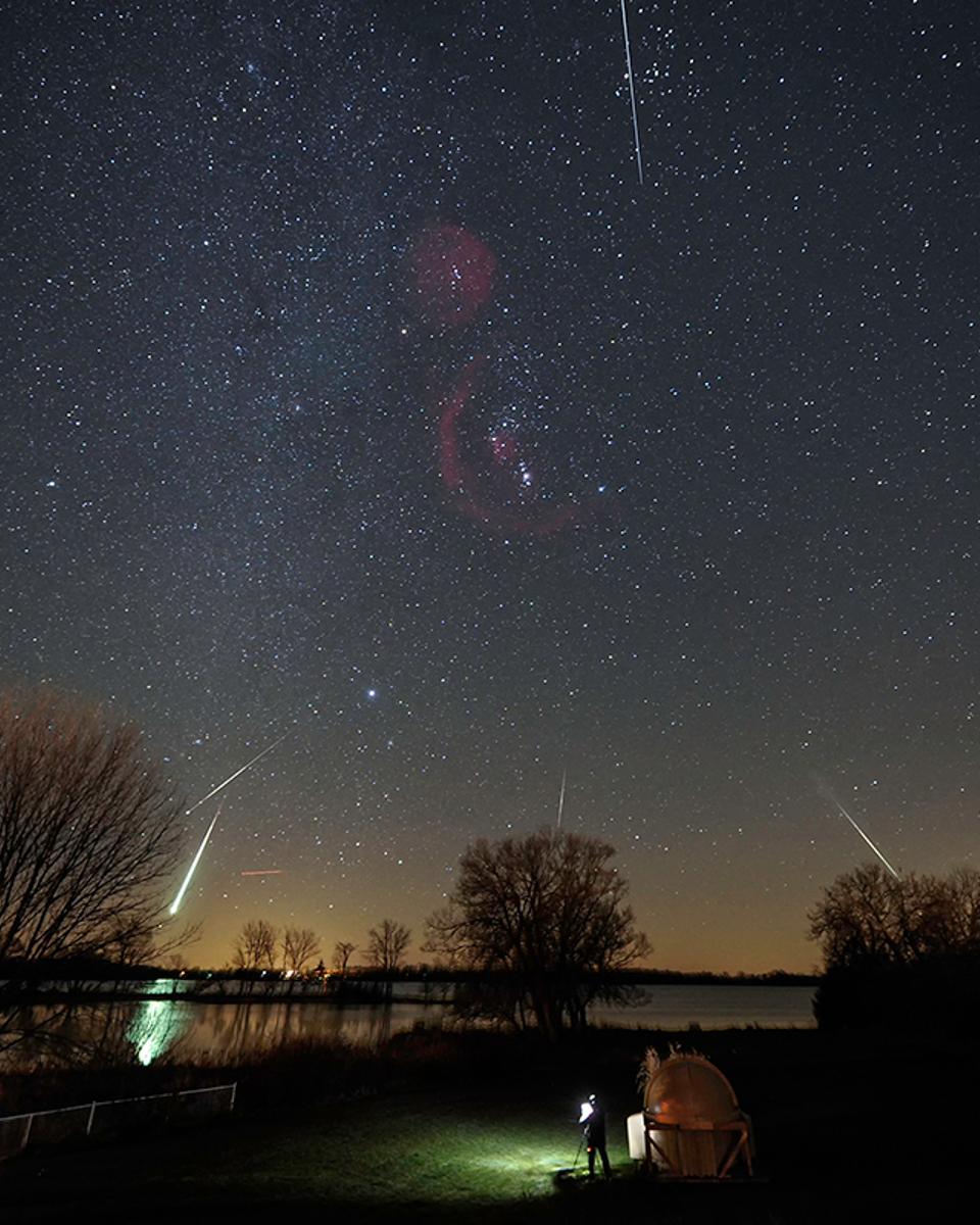 Leonids and Friends