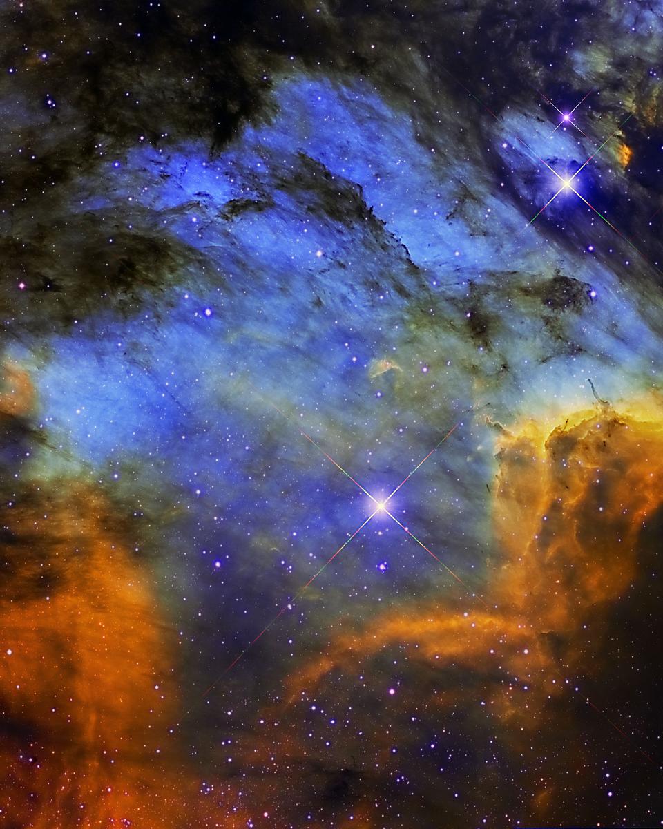 The Pelican Nebula in Gas, Dust, and Stars